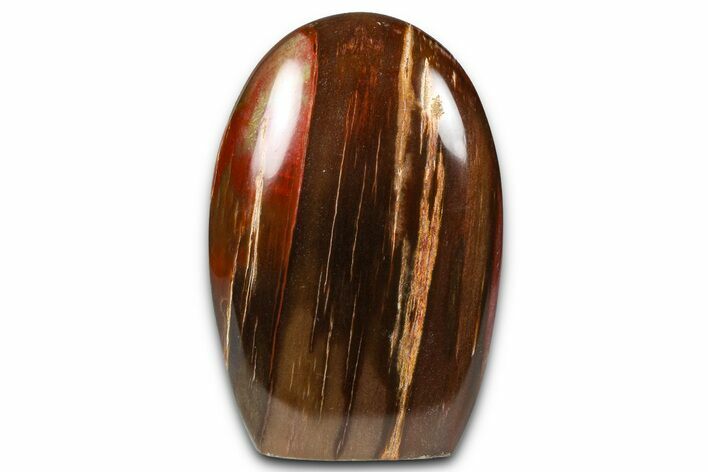 Free-Standing, Polished Petrified Wood - Madagascar #376110